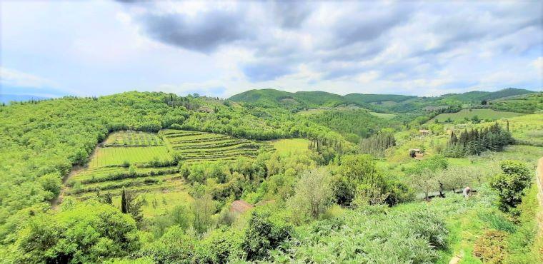 Colline di Montefioralle